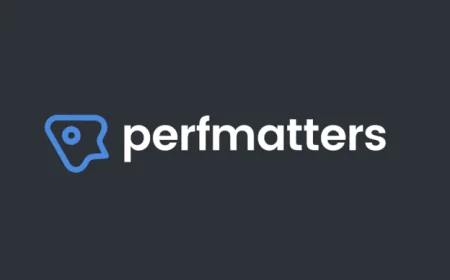 Perfmatters v2.6.2 - Lightweight WordPress Performance Plugin